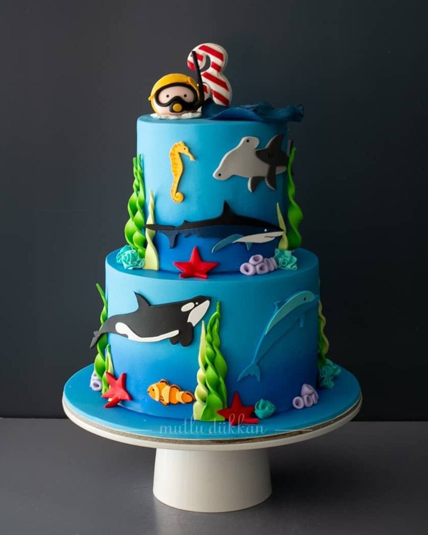 dalgıç pasta – köpek balığı ve balina temalı erkek pastası