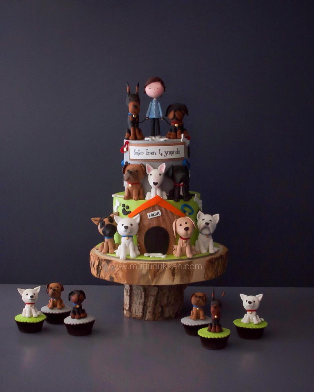 hayvan kulübe pasta – köpek figürlü erkek doğum günü pastası