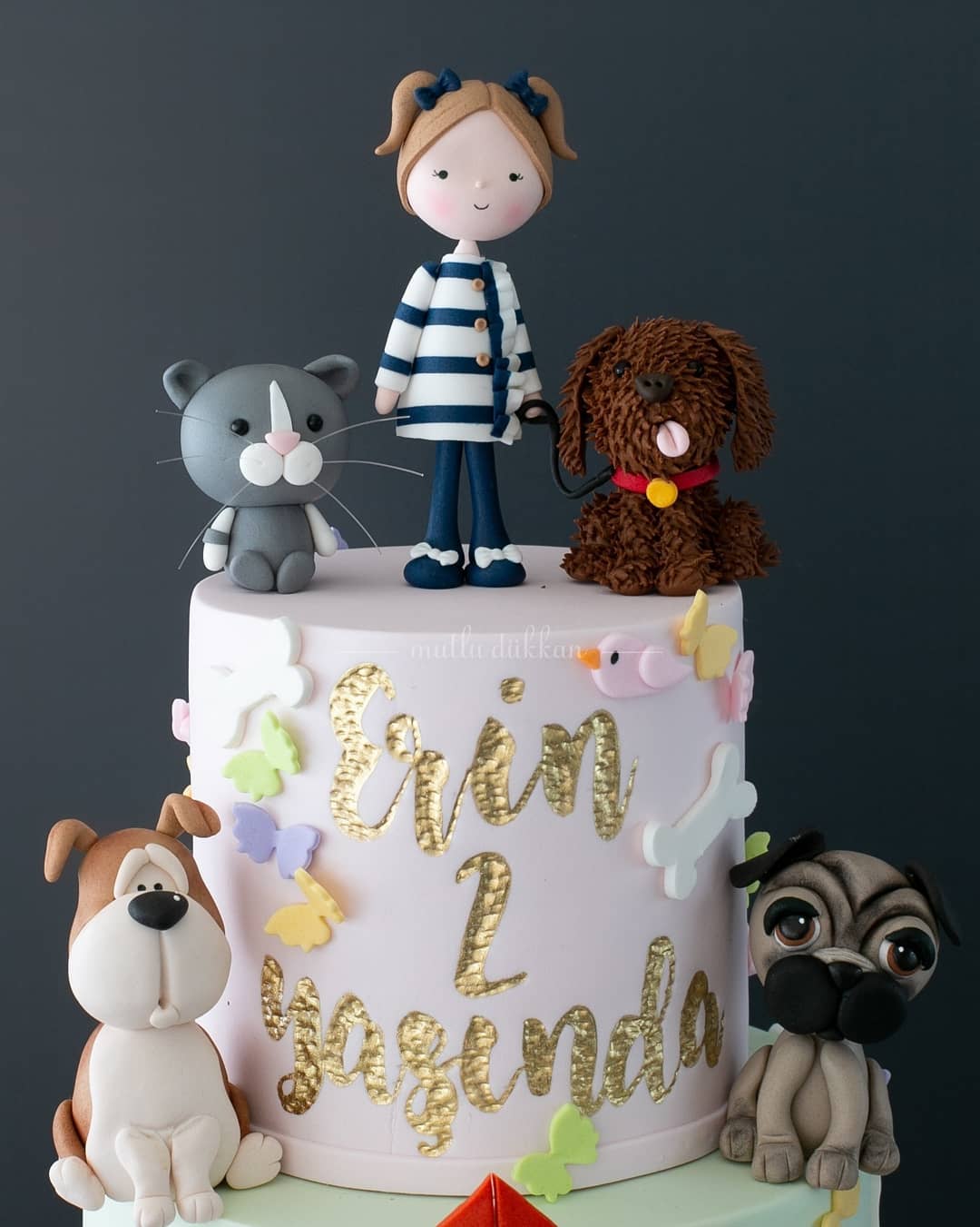 köpek pasta – 2 yaş kız çocuk doğum günü pastası