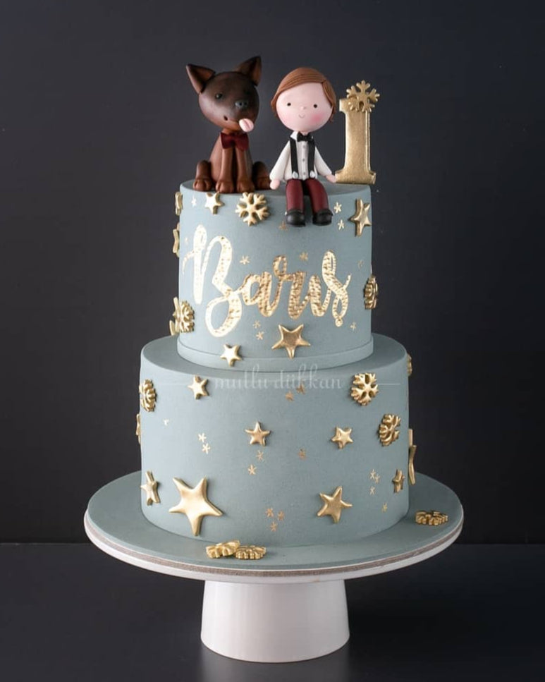 köpekli pasta – altın yıldızlı 1 yaş erkek pastası