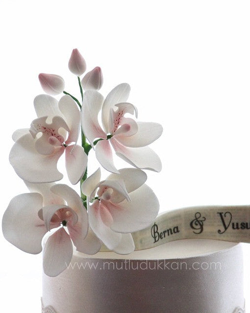 orkide pasta – beyaz dantelli zarif nişan pastası