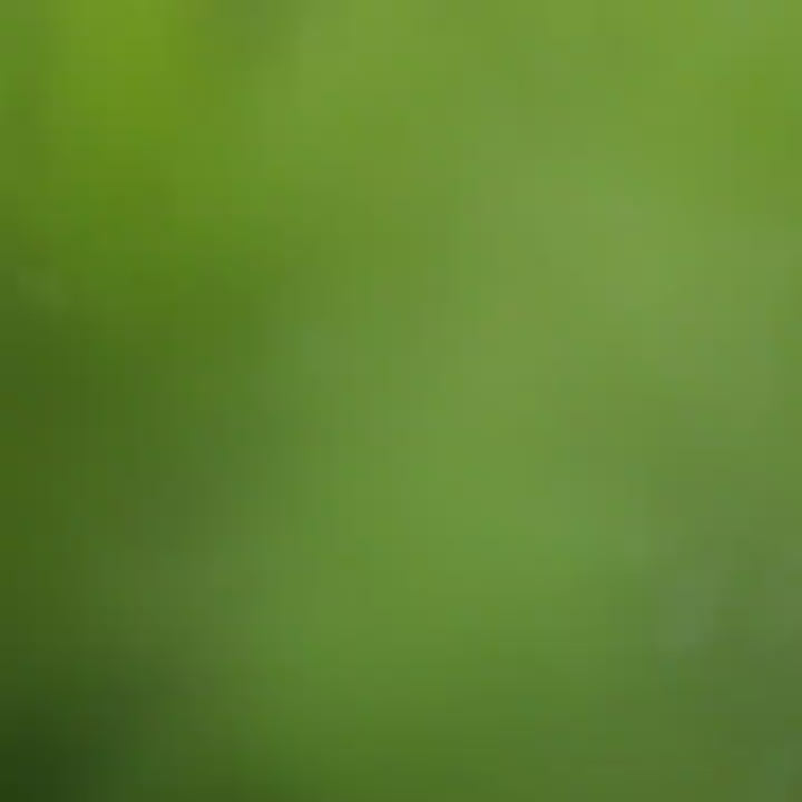 hayvan pasta – zebra desenli 1 yas erkek dogum gunu pastasi