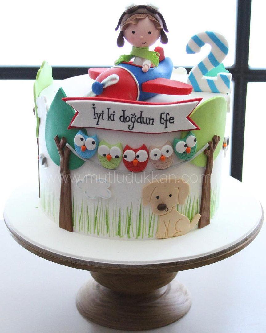 uçak pasta – baykuş ve köpek süslemeli erkek çocuk pastası