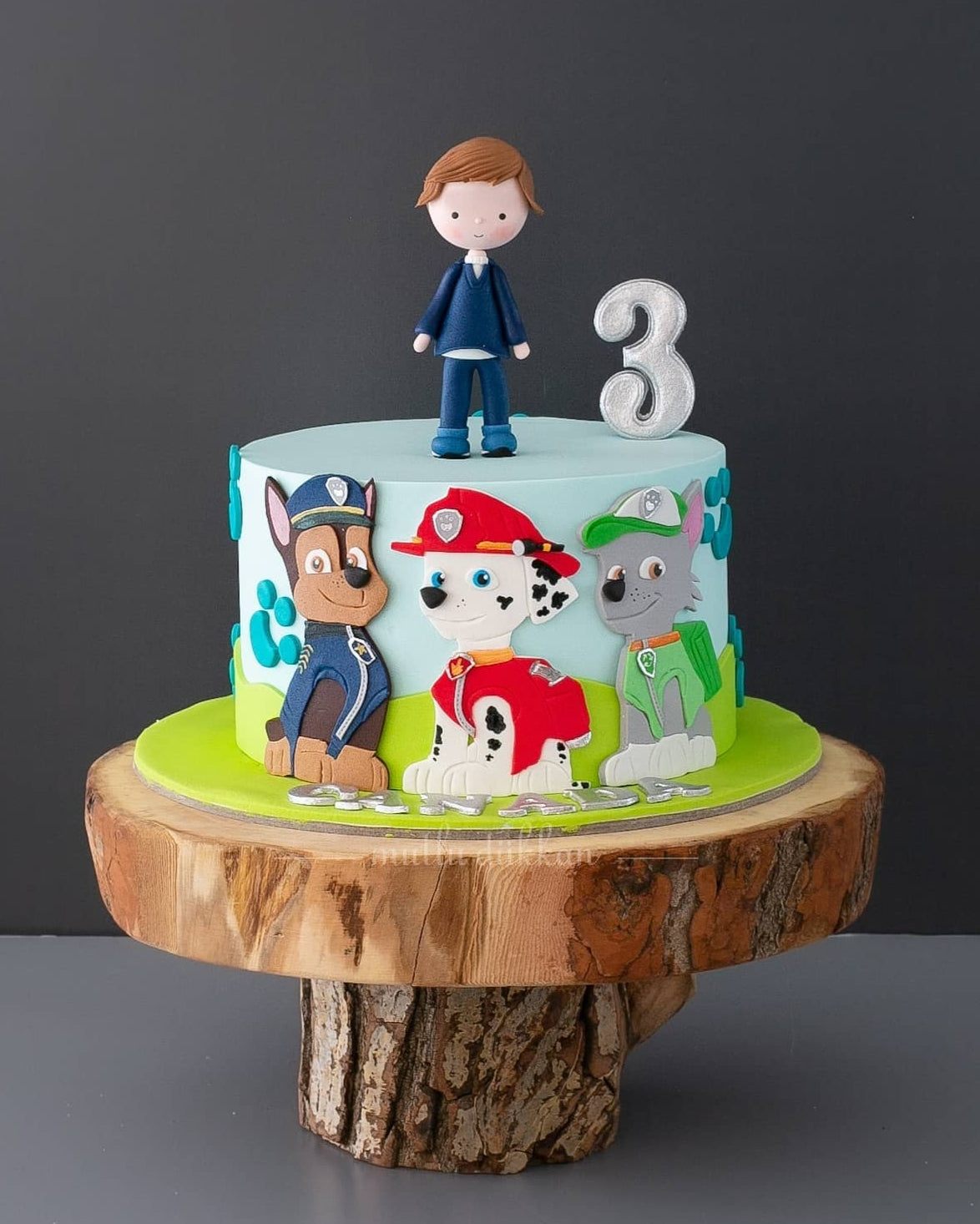 paw patrol pasta – erkek çocuk doğum günü pastası