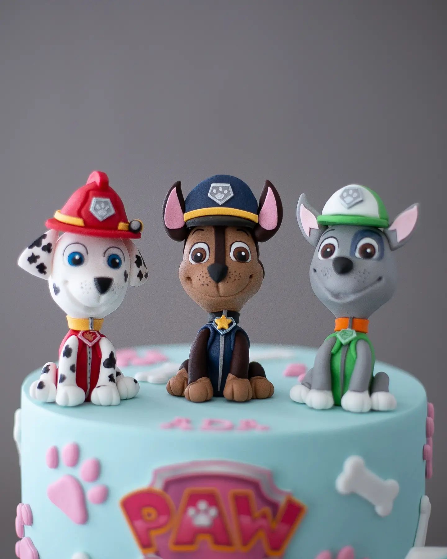 paw patrol pasta – kız çocuk doğum günü pastası