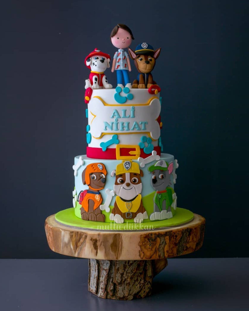 paw patrol pasta – köpek süslemeli erkek çocuk pastası