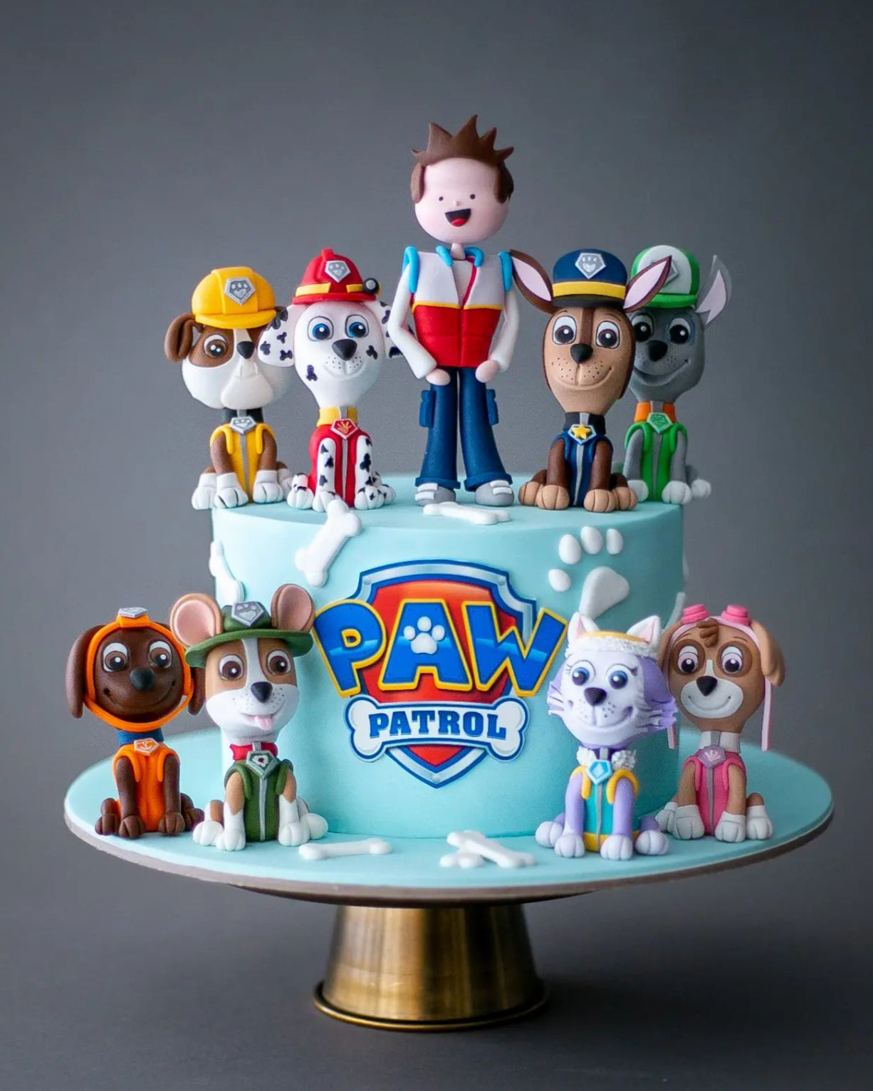paw patrol pasta – ryder figürlü erkek çocuk pastası