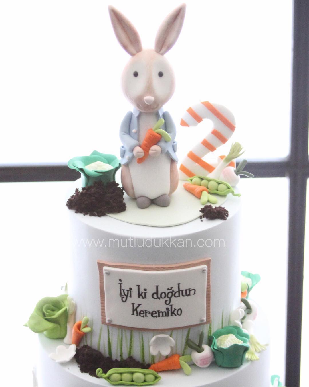 peter rabbit pasta – bahçe temalı erkek çocuk pastası