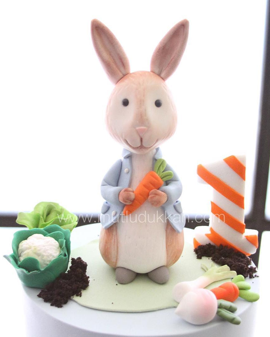 peter rabbit pasta – tavşan figürlü 1 yaş çocuk pastası